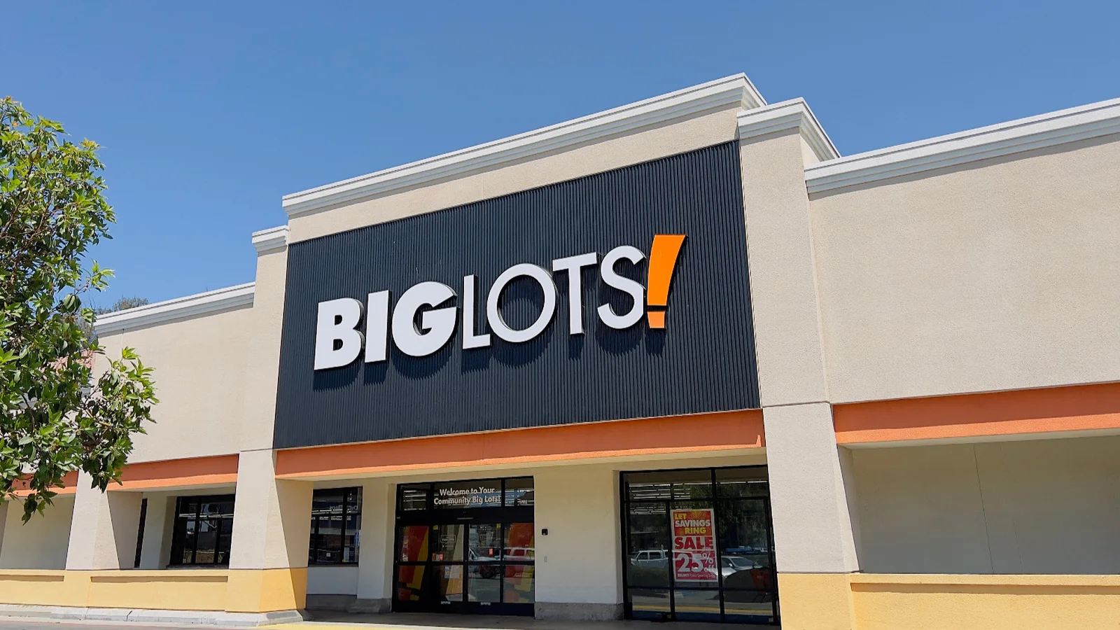 big lots rewards